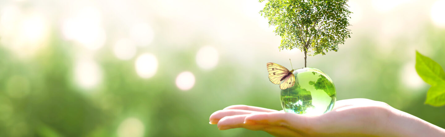 HIRI Sustainability Blog Hero