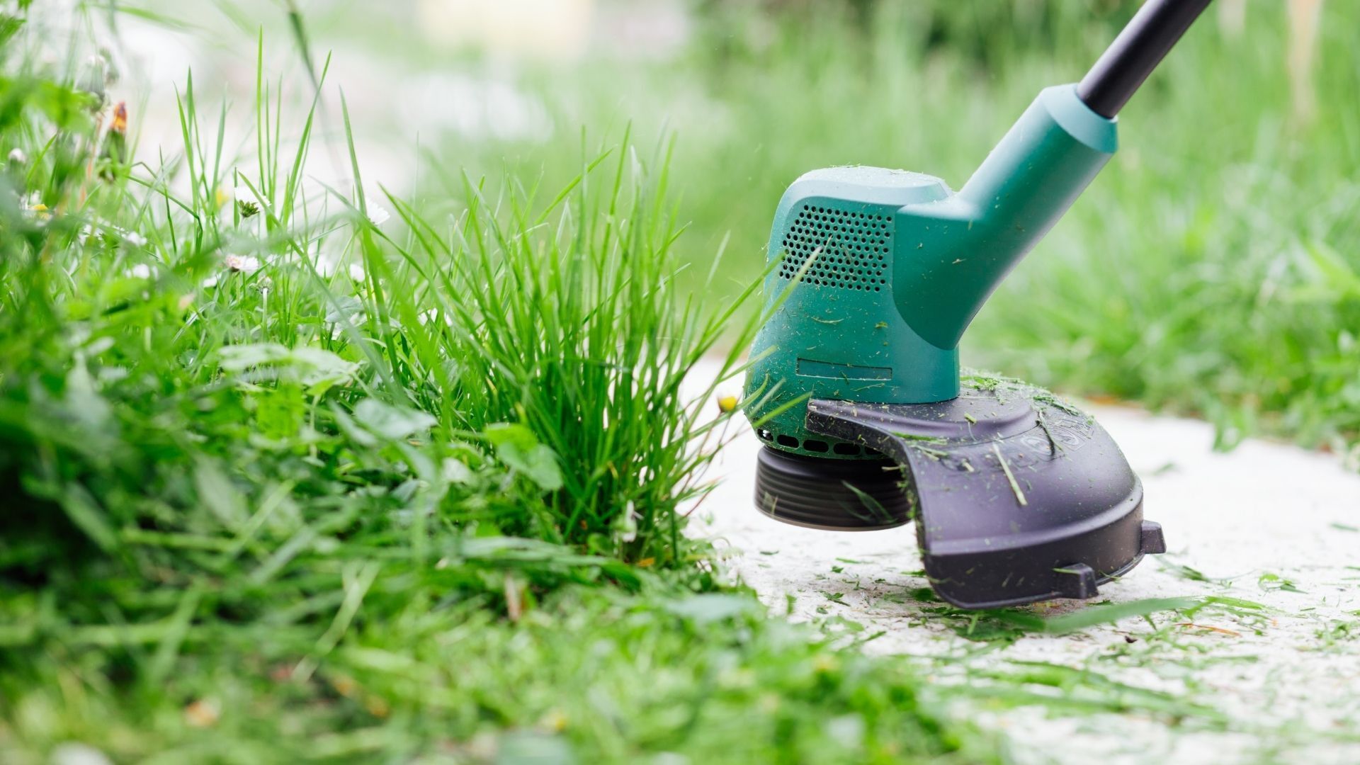 widget_1759864232600